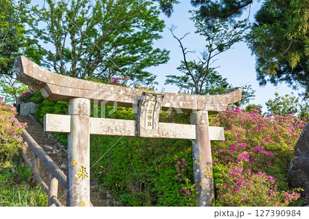 倉岳神社 「古代から天草の人々が霊山として仰ぐ、天草諸島最高峰(標高682m)の「倉岳」」天草市倉岳 倉岳神社 「古代から天草の人々が霊山として仰ぐ、天草諸島最高峰(標高682m)の「倉岳」」天草市倉岳 127390984
