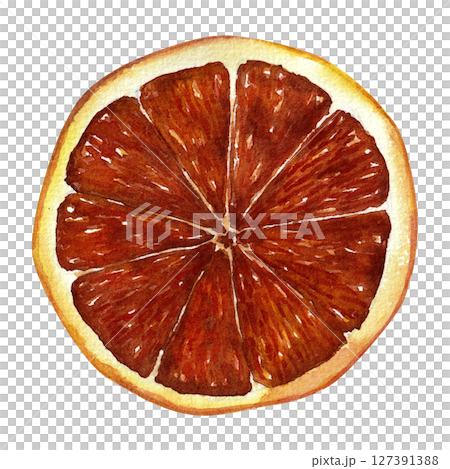 Blood orange slice. Watercolor hand-drawn illustration for packaging, menu, textile design. Isolated on white. 127391388