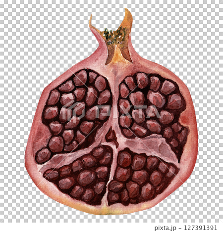 Split pomegranate fruit. Watercolor hand-drawn illustration for packaging, menu, textile design. Isolated on white.  127391391