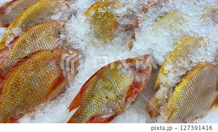 Fresh red tilapia fish displayed on ice at a market. A popular freshwater fish known for its mild flavor and firm texture. Fresh red tilapia fish displayed on ice at a market. A popular freshwater fish known for its mild flavor and firm texture. 127391416