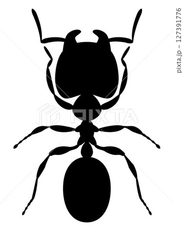 オオズアリのイラスト オオズアリのイラスト 127391776