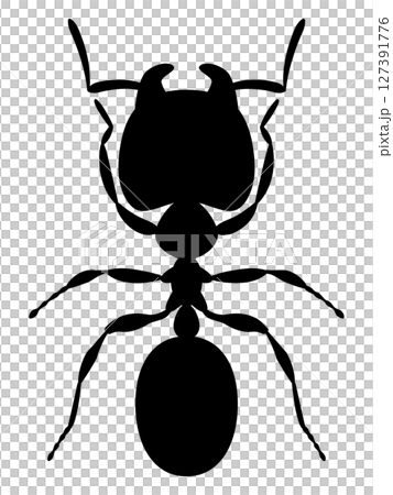 巨型螞蟻的插圖 巨型螞蟻的插圖 127391776