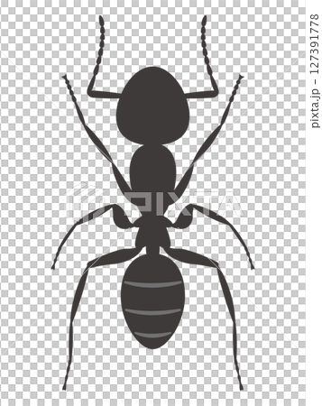 Ali's illustration 127391778