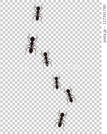 Illustration of a procession of ants Illustration of a procession of ants 127391780