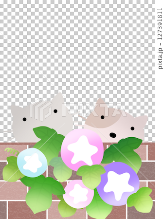 Morning glory and cat background〈postcard〉 A 127391811