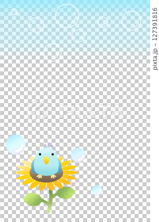 Sunflower and bird background (postcard) A 127391816