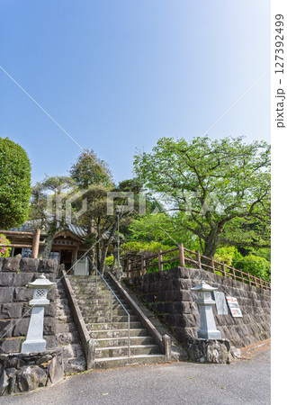 青空光芒を背景に藤の花が咲き乱れる季節に映える延命水・祈願スポット!「延命地蔵尊」天草市 青空光芒を背景に藤の花が咲き乱れる季節に映える延命水・祈願スポット!「延命地蔵尊」天草市 127392499