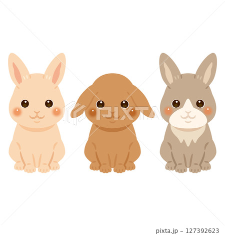 ウサギの色違いイラストセット 127392623