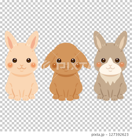 ウサギの色違いイラストセット 127392623
