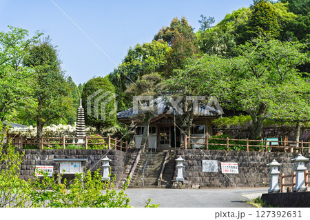 青空光芒を背景に藤の花が咲き乱れる季節に映える延命水・祈願スポット！「延命地蔵尊　周辺風景」天草市 127392631