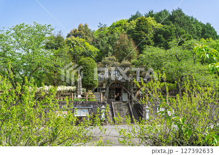 青空光芒を背景に藤の花が咲き乱れる季節に映える延命水・祈願スポット！「延命地蔵尊　周辺風景」天草市 127392633