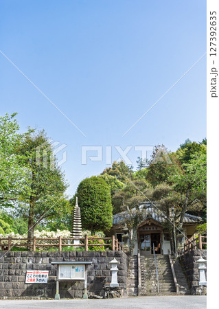青空光芒を背景に藤の花が咲き乱れる季節に映える延命水・祈願スポット！「延命地蔵尊　周辺風景」天草市 127392635