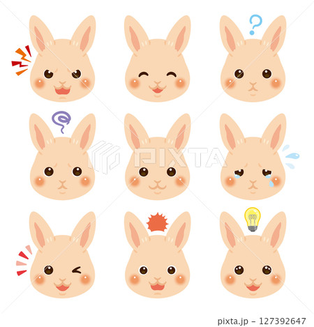 ウサギのイラストセット　顔表情のみ 127392647