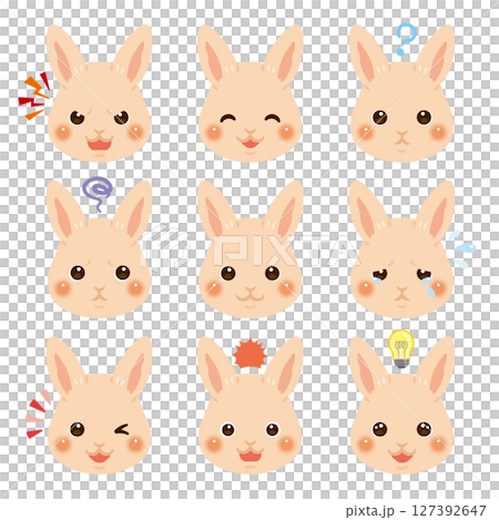 ウサギのイラストセット　顔表情のみ 127392647