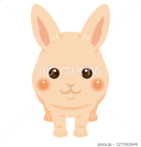 正面から見たウサギのイラスト 127392649