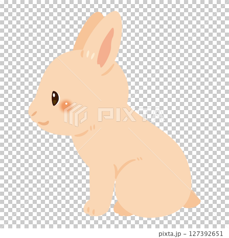 一隻坐著的兔子的側面插圖 127392651