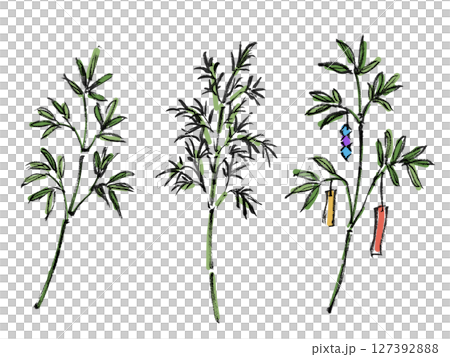 七夕/竹子（活動3） 127392888