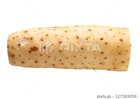 Yamaimo roots and slices or Chinese yam isolated over white background 127393059