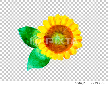 sunflower	 sunflower	 127393385