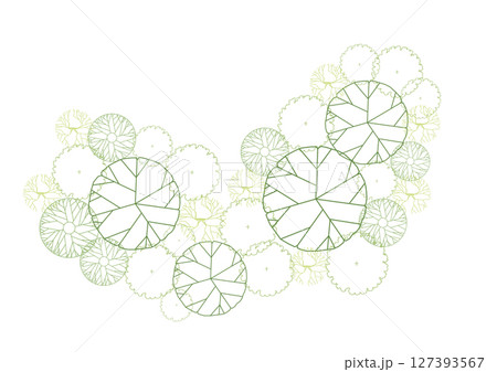 architecture drawing plant tree top view plan greenery vegetation vector. design nature architectural landscape set element illustration bush garden flora sapling minimal. architect isolated. 127393567