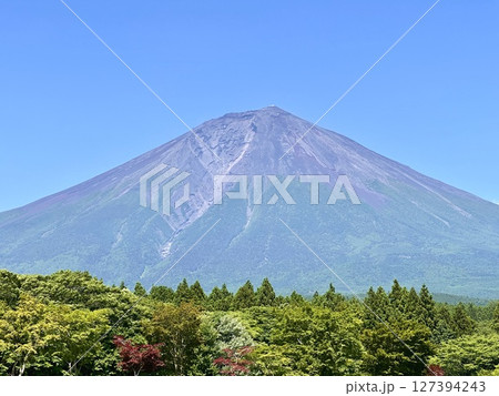 夏色に染まる富士山 夏色に染まる富士山 127394243