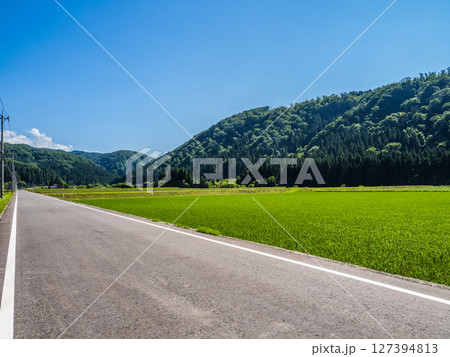 収穫を迎えた田園風景 収穫を迎えた田園風景 127394813