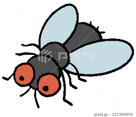 ハエの手描きイラスト ハエの手描きイラスト 127394859