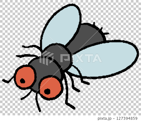 蒼蠅的手工繪製的插圖 蒼蠅的手工繪製的插圖 127394859