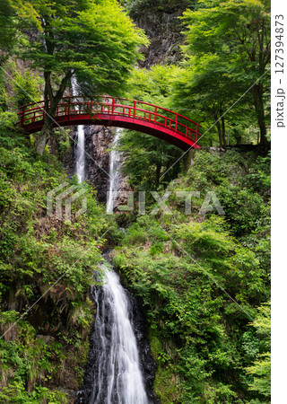 豪快な滝　五宝の滝　岐阜県 127394873