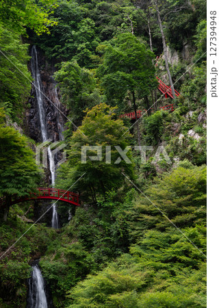 豪快な滝　五宝の滝　岐阜県 127394948