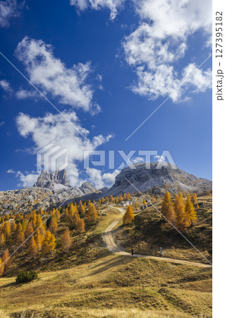 Hiking trail leading to Cinque Torri in the Dolomites during autumn foliage season 127395182