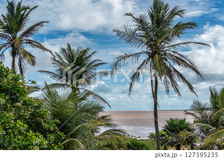 Typical Jungle lodge located at Ilha das Canarias, Brazil. Delta do Parnaiba and Delta das Americas. 127395235