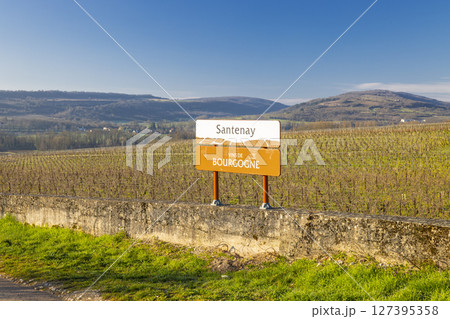 Santenay vineyard landscape in Bourgogne, France, showing appellation sign Santenay vineyard landscape in Bourgogne, France, showing appellation sign 127395358