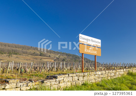 Chassagne Montrachet vineyard landscape showing appellation sign in Bourgogne, France 127395361