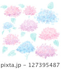 水彩風紫陽花のイラスト 127395487