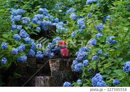 アジサイとお地蔵様（2023年7月岩手県二戸市浄法寺） 127395558