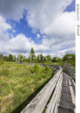 Wooden boardwalk winding through wetlands in Lutowiska, Poland, under a cloudy sky 127395656