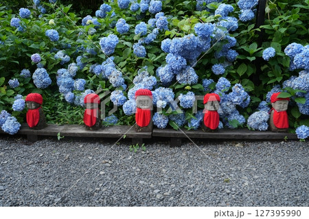 アジサイとお地蔵様（2023年7月岩手県二戸市浄法寺） 127395990