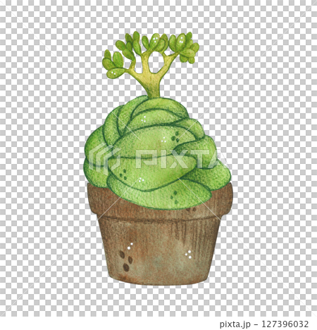 Green plant in pot, succulent. Watercolor illustration, hand drawn, cartoon. For scrapbooking, journaling, stickers, printing. Houseplant, garden, exotic 127396032