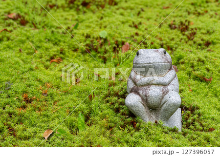 苔むした庭に置いてあるカエルの像 苔むした庭に置いてあるカエルの像 127396057