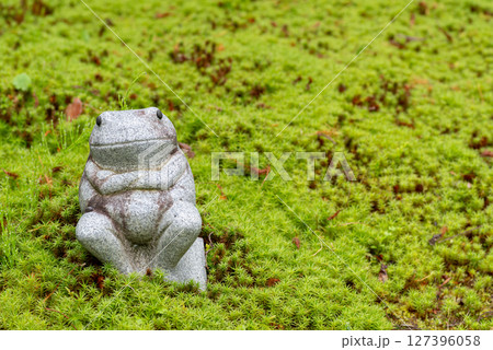 苔むした庭に置いてあるカエルの像 苔むした庭に置いてあるカエルの像 127396058