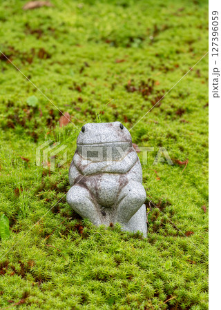 苔むした庭に置いてあるカエルの像 127396059