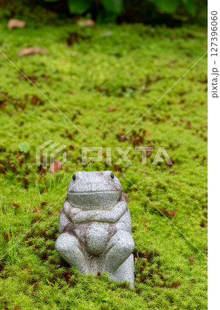 苔むした庭に置いてあるカエルの像 127396060