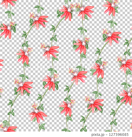 Liana branches with red flowers watercolor seamless pattern isolated on white. Hand drawn design perfect for cards, posters, botanical patterns, eco decor, tropical rainforest design. Nature clip art 127396085