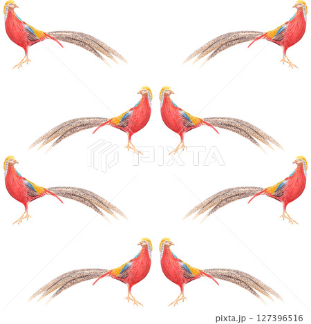 Golden pheasant watercolor seamless pattern isolated on white. High quality hand drawn clipart sketch style perfect for cards, posters, stickers, book design, decor. Exotic tropical vibrant China bird 127396516