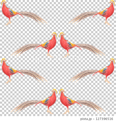 Golden pheasant watercolor seamless pattern isolated on white. High quality hand drawn clipart sketch style perfect for cards, posters, stickers, book design, decor. Exotic tropical vibrant China bird 127396516
