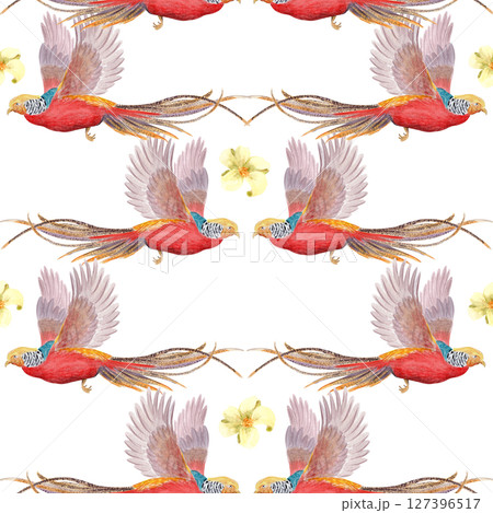 Flying tropical birds with long tails and white flowers watercolor seamless border isolated on white. Hand-painted perfect for wedding stationery, fabric prints, summer projects. Golden pheasant 127396517