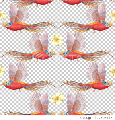 Flying tropical birds with long tails and white flowers watercolor seamless border isolated on white. Hand-painted perfect for wedding stationery, fabric prints, summer projects. Golden pheasant 127396517