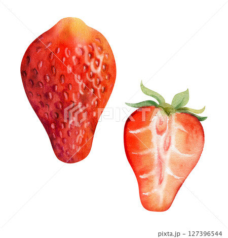 Strawberry ripe fruit with leaves crown full and cut in half hand drawn in watercolor, garden strasberry berry. Botanical isolated illustration. Home preserves cookbook, grocery store food closeup 127396544