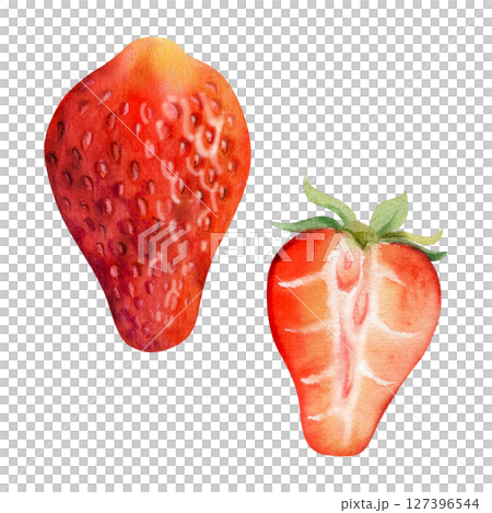 Strawberry ripe fruit with leaves crown full and cut in half hand drawn in watercolor, garden strasberry berry. Botanical isolated illustration. Home preserves cookbook, grocery store food closeup 127396544